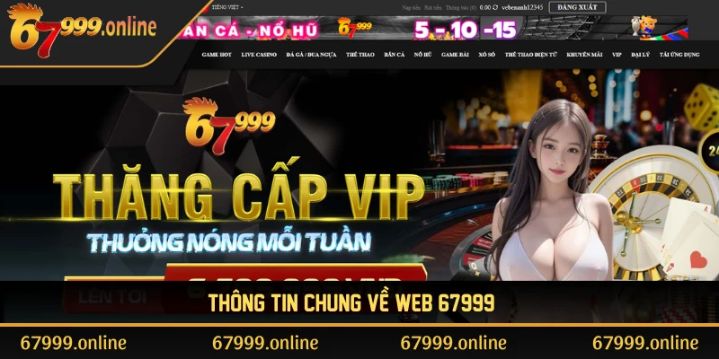 thong-tin-chung-ve-web-67999